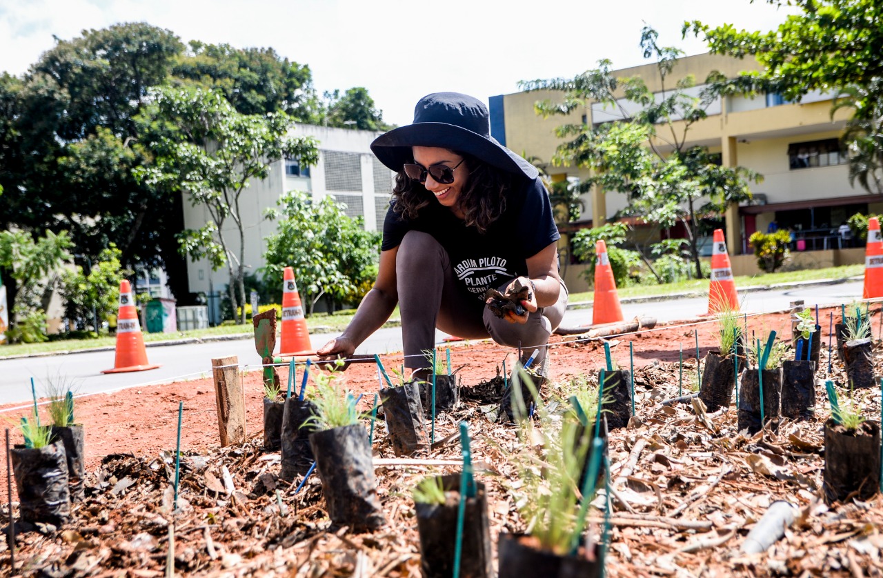 Ilka Teodoro apresenta novas políticas de apoio à Agricultura Urbana no DF