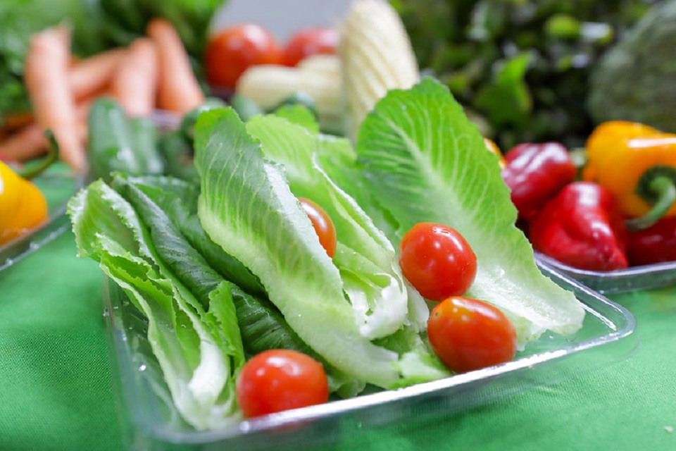 Gastronomia Funcional em Ascensão: Impulsionando o Mercado de Alimentação Saudável