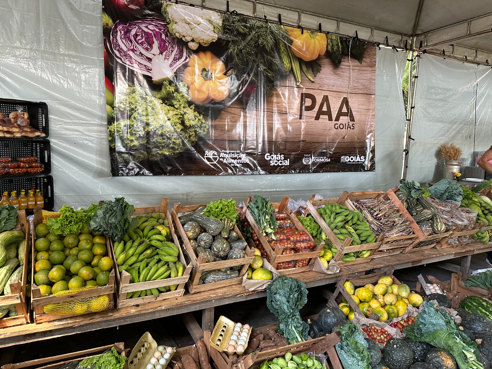 Governo de Goiás lança novo edital do Programa de Aquisição de Alimentos Estadual