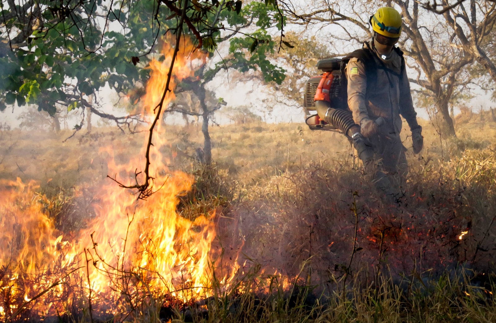 Goiás suspende uso do fogo em vegetação até 31 de outubro e alerta para risco de incêndios
